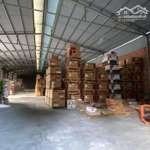 Cho thuê kho ql 50 bình chánh 800m2 giá 38tr