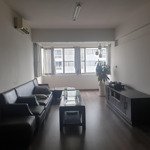 Cho thuê căn hộ chung cư mỹ khánh 3pn - 118 m2