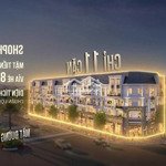 Cực hiếm ! 11 căn shophouse mặt đường tỉnh 293,trung tâm hành chính bắc giang - sổ đỏ trao tay ngay