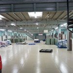 Nhà xưởng/kho 4.600m2 đẹp sạch sẻ không khí thoáng mát