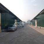 Chính chủ cho thuê kho tại kiến hưng, hà đông.diện tích300m2 - 500m2 - 1000m2 - 2000m2