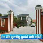 Bán đất thổ cư 100 % đường đinh đức thiện xdtd