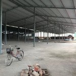 Cho thuê xưởng sản xuất 5000m2, 2500m2 tại thuỷ nguyên, hải phòng