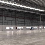 Cho thuê kho/xưởng 2700m2 - 28000m2 kcn nhơn trạch 2, đồng nai