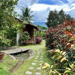 Bán khu du lịch sinh thái nghỉ dưỡng sông pha (sông pha farmstay)