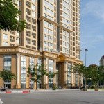 Chủ nhà ngộp, cần ra hàng shophouse chân đế tại d''.el dorado tân hoàng minh giá chỉ 11 tỷ căn 120m2