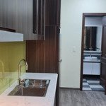 Bán nhà mặt tiền seoul ecohome tràng duệ có 6 phòng căn hộ khép kín cho thuê