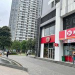 Chính chủ cho thuê shophouse vinhomes times city park hill diện tích 95 m2 giá 50tr/tháng