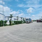 Cho thuê 5000m2 nhà xưởng cao cấp sẵn 10 cẩu trục