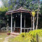 Cần cho thuê căn villa đường 3/4