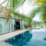 Sở hữu resort flamingo đại lải 800m2 full nội thất view hồ dòng tiền hàng tháng trên 100 triệu chỉ 20tỷ