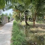Bán 3042m2 đất vườn dừa, có 300m2 thổ, gần kcn phong nẩm, giồng trôm