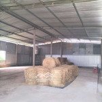 Xưởng 200m2 xuân thới thượng, hóc môn