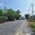 đất 10x50 mặt tiền thanh niên, phạm văn hai, bình chánh