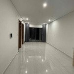 Cho thuê căn hộ chung cư d-vela q7 2pn 2wc nội thất cơ bản