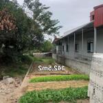 (sốc) đất cẩm hoàn, thanh sơn, kiến thụy. 142m2 mặt tiền 5,06m. đường 9m. ngay trung tâm. gần ngân hàng chợ, trường, kinh doanh cho thuê nhà tốt.0968636852