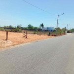 Ngộp - cần bán 2000m2 đất cln mtkd 715 thiện nghiệp - phan thiết