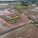 6068m2 đất lúa đường ô tô 4m giá 400tr/1000m2