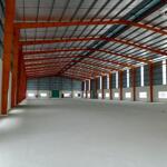 Cho thuê kho xưởng mới xây – pccc tự động