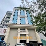 Hot hot bán & cho thuê tòa office 11 tầng - xây mới tại 36 phố dịch vọng hậu dt: 548.8 m2