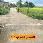 Bán 1000m2 lúa, hiện đường giá 600tr, nhựt chánh