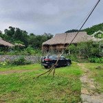 Homestay đang làm dở