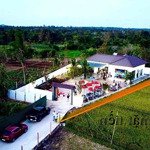 Villa nhà vườn trung tâm 3 mặt tiền giá rẻ bất ngờ