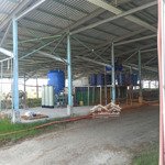 Nhà xưởng kho bãi 2000m2 tại an minh - kiên giang gần đường xuyên á