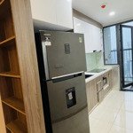 Chính Chủ Cho Thuê Chung Cư Mon City Full Nội Thất Căn 60M2, 2 Phòng Ngủ Giá Thuê 12 Triệu/Tháng