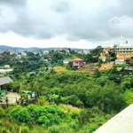 Bán đất view rừng thông trung tâm đà lạt, sổ riêng thổ cư