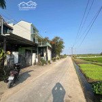 208m2 view lúa an mỹ gần cafe roving giá tốt ( tặng nhà 2 tầng )