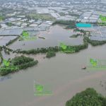 10 hecta đất giáp sông lớn tại nhơn trạch, thích hợp lập dự án, chăn nuôi thuỷ sản