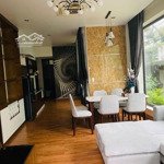 Bán gấp biệt thự song lập paris 200m2 full nội thất có thang máy, vinhomes imperia 22.5 tỷ