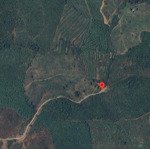 Bán nhanh 11ha đất rừng sản xuất tại xã ninh quang, ninh hòa