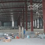 Cho thuê kho xưởng 10,000m2 đường trân đại nghĩa .huyên binh cháng