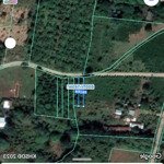 Bán đất 147.5m2 tại xã phú tân - định quán - đồng nai
