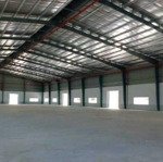 Cho thuê kho mớimặt tiềntrần hưng đạo, tx điện bàn, t. quảng nam, 1.000m2, 40 tr/th