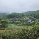 Bán 4686m2 đất view vị trí đẹp giá siêu rẻ tại kim bôi, hòa bình