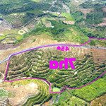 đất rẫy đẹp 7ha | giá chỉ 400tr/ha tại tp.gia nghĩa tỉnh đắk nông