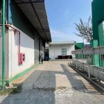 Cho thuê kho xưởng diện tích 1000m2 mặt tiền đường chính phường trảng