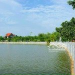 Chính chủ bán biệt thự the phoenix garden đan phượng hà nội