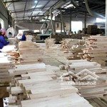Bán dự án nhà máy sản xuất ván ghép thanh, đồ gỗ nội thất dt: 11.150m2