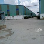 Cho thuê 3 xưởng 5.000m2, 10.000m2, 15.000m2, pccc tự động, gía: 50k/m2, long an