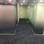 Chính chủ cho thuê văn phòng dt 110m2