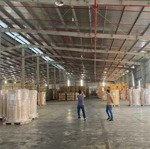 Cho thuê khodiện tích1000m2, pccc tự động, xuất vat, gần bx nước ngầm giá 8x nghìn/m2