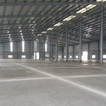 Cho thuê kho xưởng 5000m2 đến 20.000m2 đường 833b tp tân an