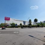 Chính chủ bán đất dịch vụ dương nội - hà đông, gần aeon mall, 50m2, 5.24m, giá đầu tư 0838265678