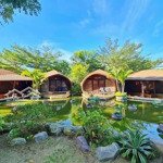 Bán khu nghĩ dưỡng resort cồn khương , 4 mặt tiền ( có mt sông hậu ).