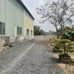 Cho thuê kho diện tich đất 2500m2 (dt kho: 500m2), tân quý tây - bình chánh