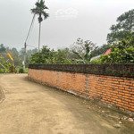 Rẻ Như Này K Mua Thì Mua Ở Đâu Các Bác Gần 1000M2 Giá 2,X Tỷ View Núi Tản Viên, Liên Hệ: 0974715503